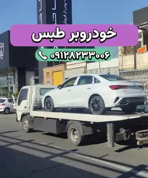 خودروسوار طبس